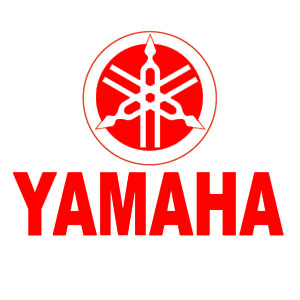 YAMAHA EVASION